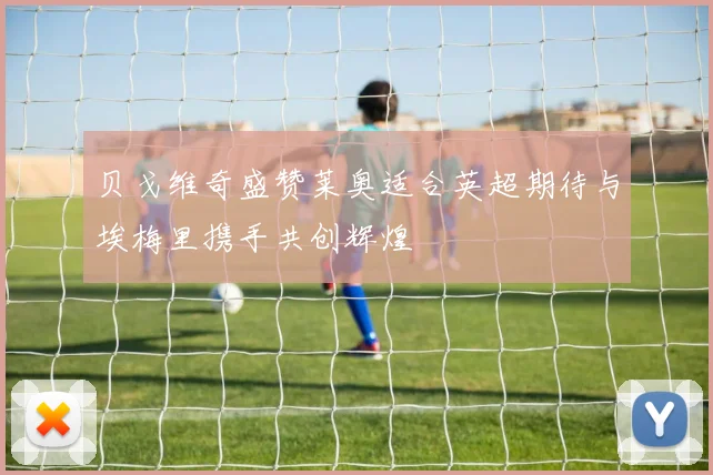 贝戈维奇盛赞莱奥适合英超期待与埃梅里携手共创辉煌