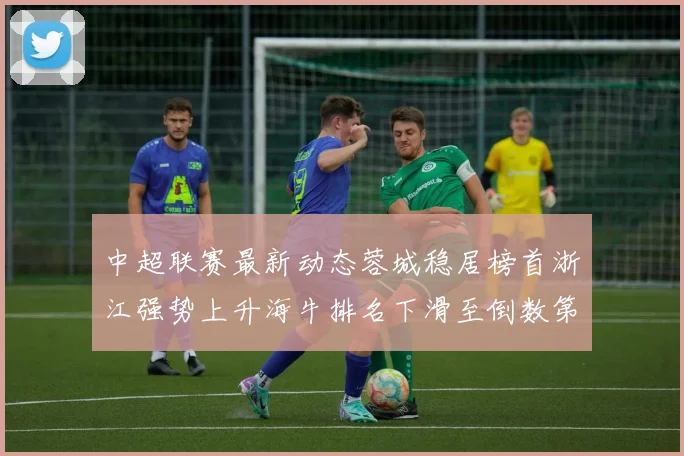 中超联赛最新动态蓉城稳居榜首浙江强势上升海牛排名下滑至倒数第三